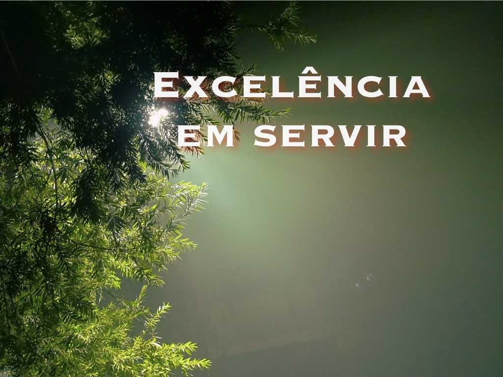 Excelência em Servir: o segredo das organizações diferenciadas