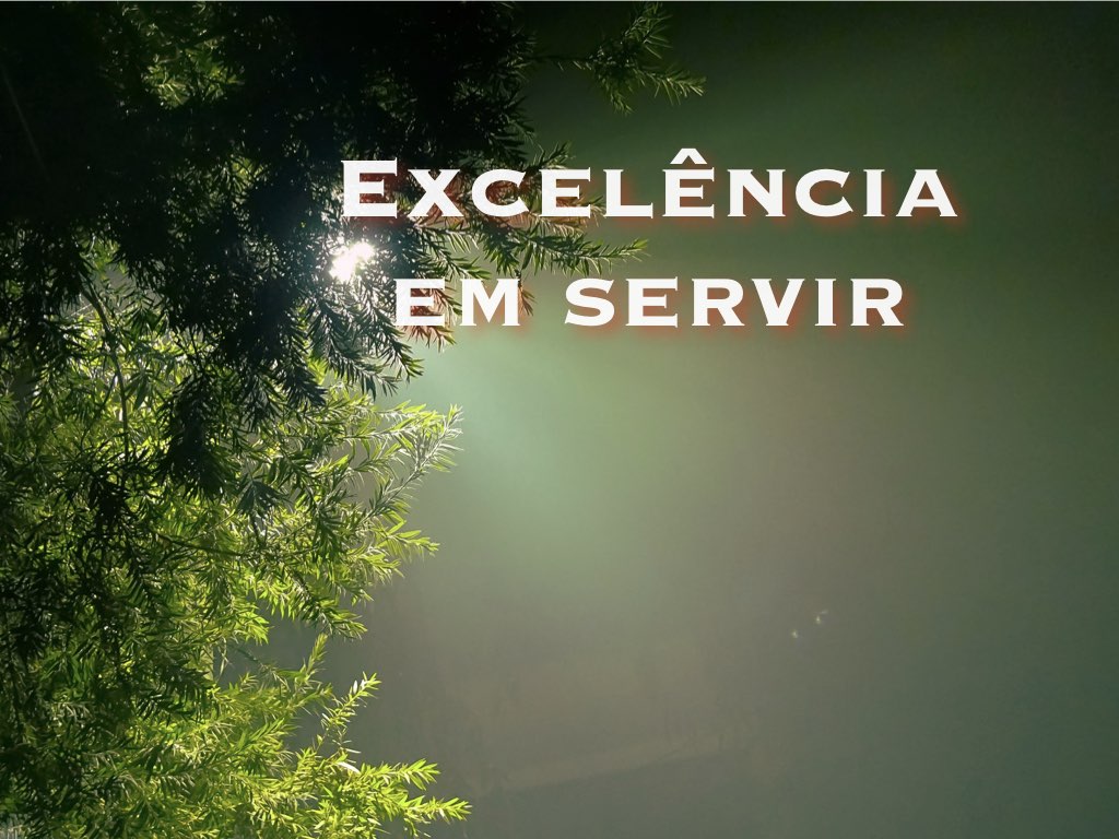 Excelência em Servir: o segredo das organizações diferenciadas